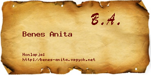 Benes Anita névjegykártya