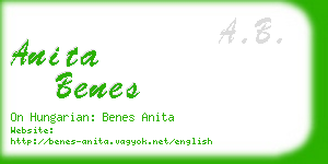 anita benes business card